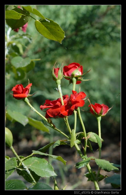 user posted image