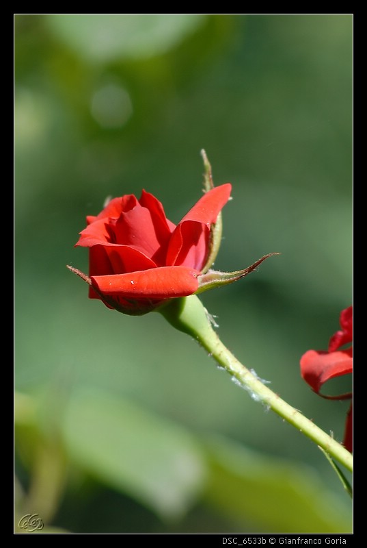 user posted image