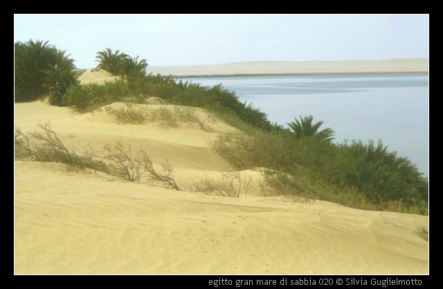 egitto gran mare di sabbia 020.jpg