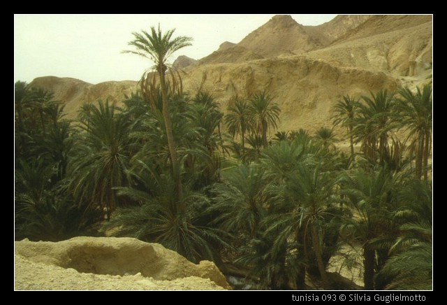 tunisia 093.jpg