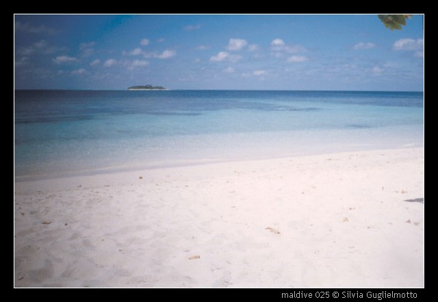 maldive 025.jpg