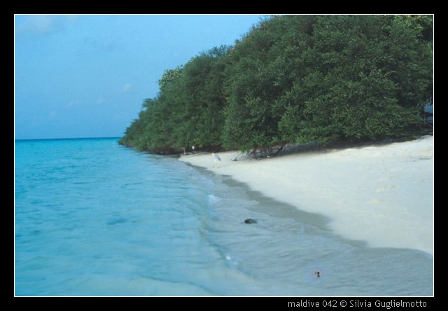 maldive 042.jpg