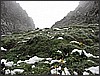 IMG_0008.JPG(107 KB)