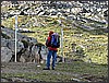 IMG_0021.JPG(139 KB)
