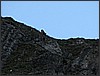 IMG_0033.JPG(51,9 KB)
