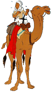 Tintin on a camel