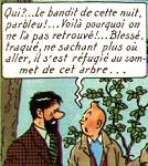 Boules p.41 A3