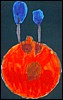 disegno 2006 12 31 mostro femmina.jpg