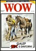 WOW 2 - nuova serie - Tex Willer Galleppini.jpg