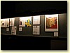 DSCN2412.JPG