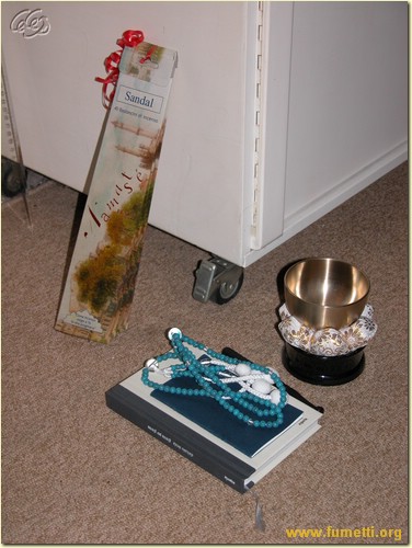 DSCN2780.JPG