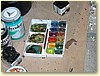 DSCN2801.JPG
