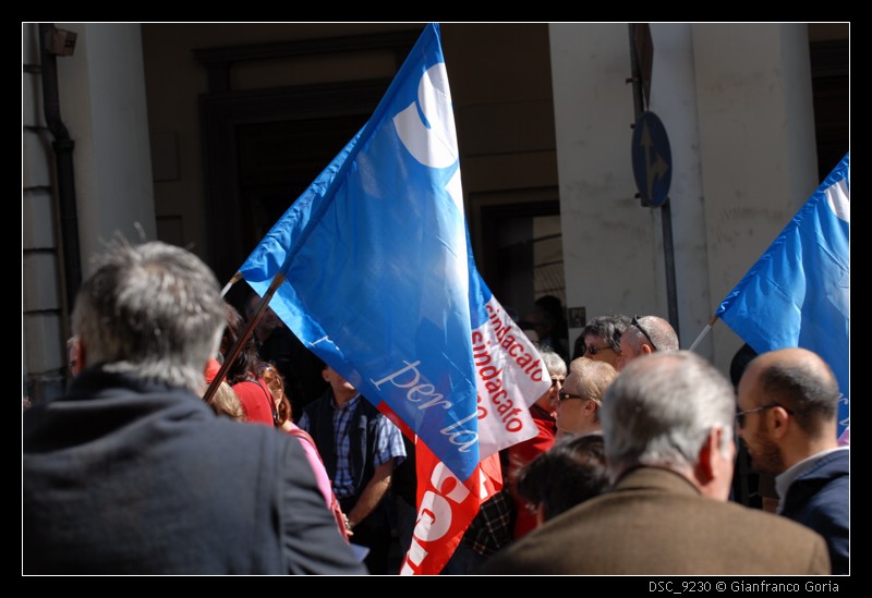 DSC_9230.JPG