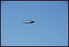 DSC_8967.JPG