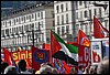 DSC_9043.JPG