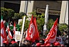 DSC_9051.JPG