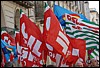 DSC_9069.JPG
