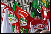DSC_9177.JPG