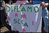 DSC_9265.JPG