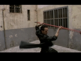 Il Disinfestatore, 2002 - cinema