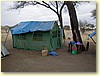 P8310041.JPG