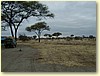 P8310068.JPG