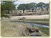 P9020260.JPG