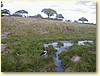 P9030356.JPG