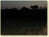 P9080098.JPG