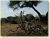 P9100191.JPG