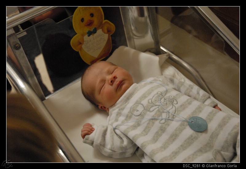 DSC_9281.JPG