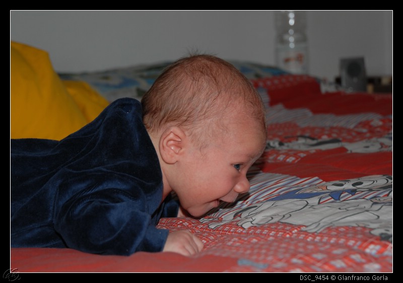 DSC_9454.jpg