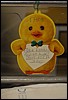 DSC_9177.JPG