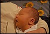 DSC_9314.jpg