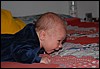 DSC_9454.jpg