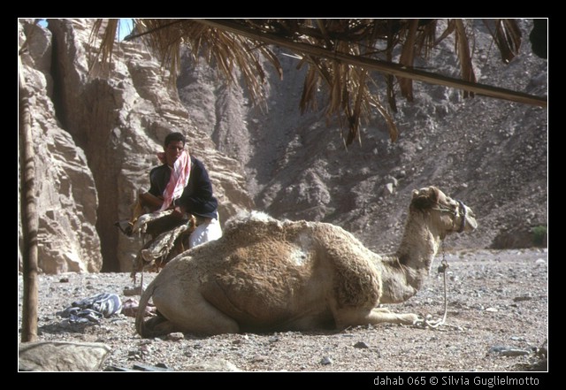 dahab 065.jpg