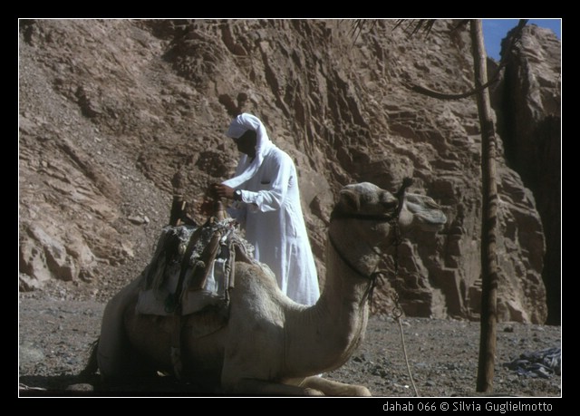 dahab 066.jpg
