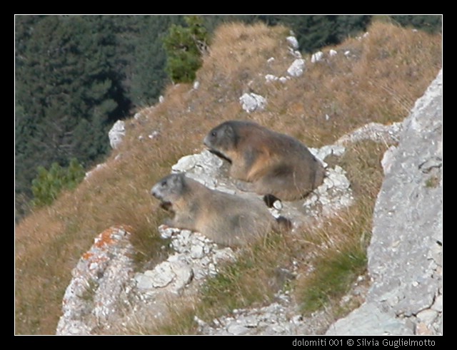 dolomiti 001.jpg