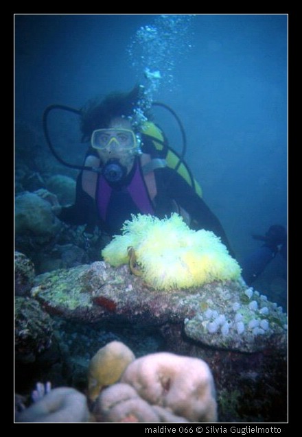 maldive 066.jpg