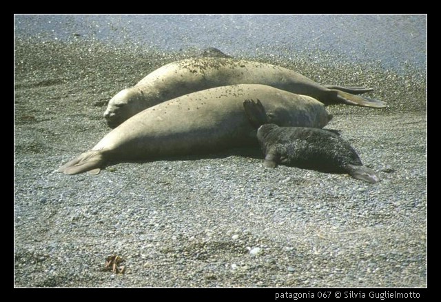 patagonia 067.jpg