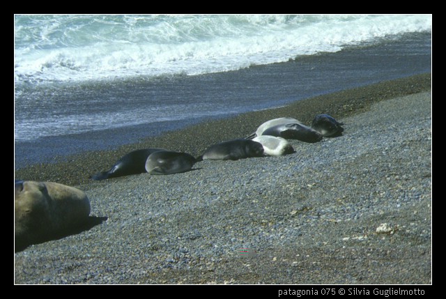 patagonia 075.jpg