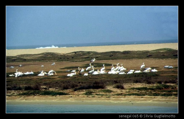 senegal 065.jpg
