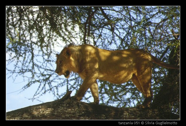 tanzania 051.jpg
