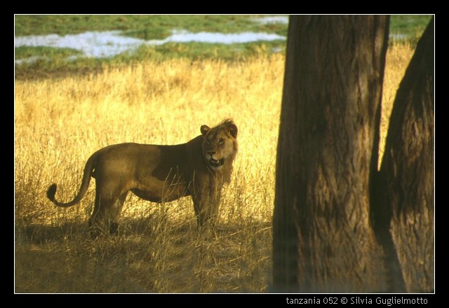 tanzania 052.jpg