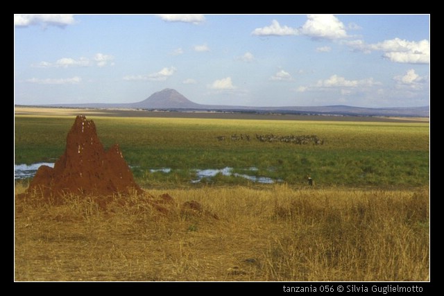 tanzania 056.jpg