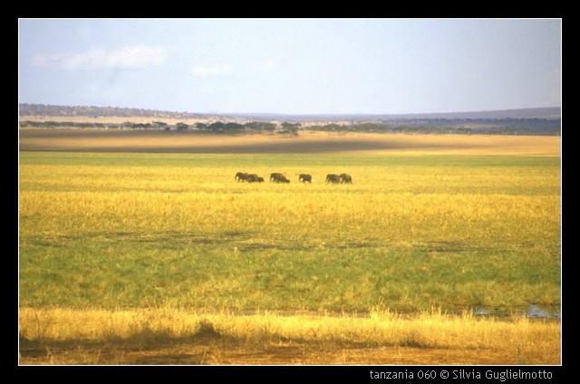 tanzania 060.jpg