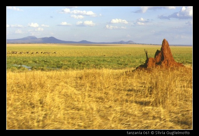 tanzania 061.jpg