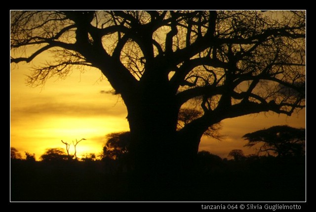 tanzania 064.jpg