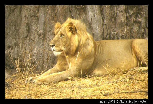 tanzania 073.jpg