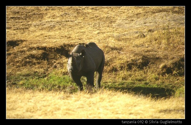 tanzania 092.jpg